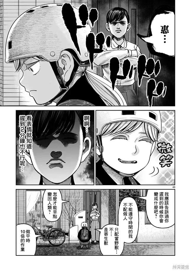 第42页