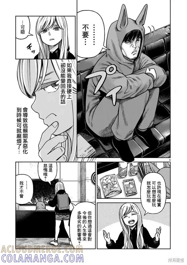 第5页