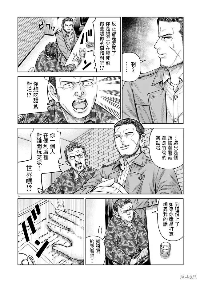 第14页