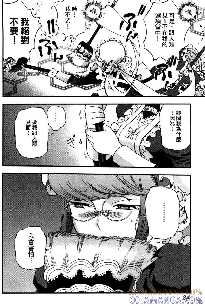 第25页