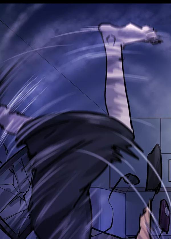 第224页