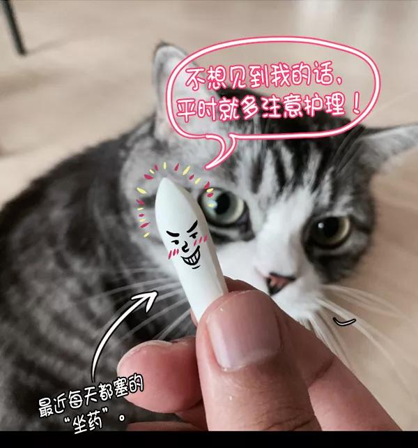 第202页