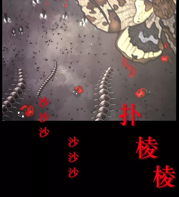 第146页