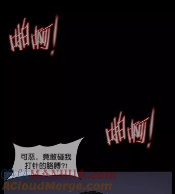 第197页
