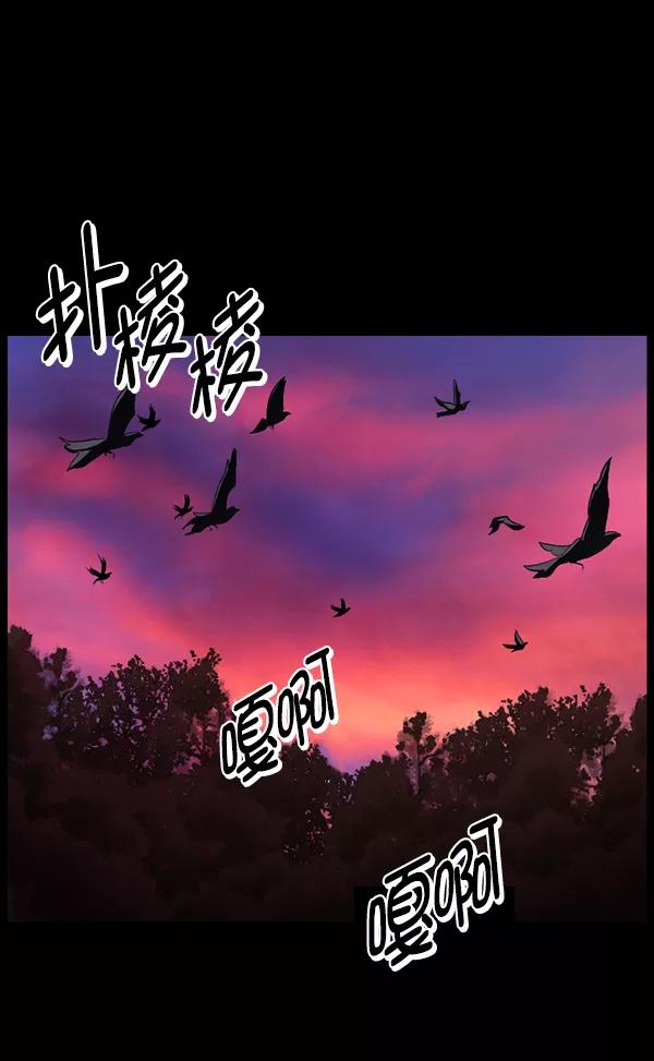 第224页