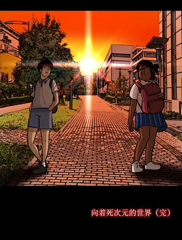 第204页