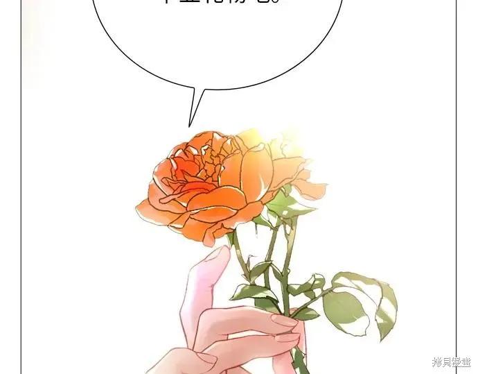 第234页