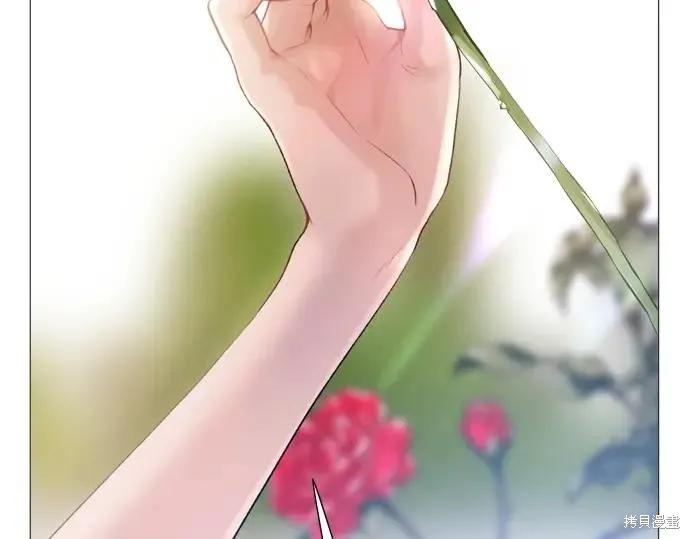 第235页