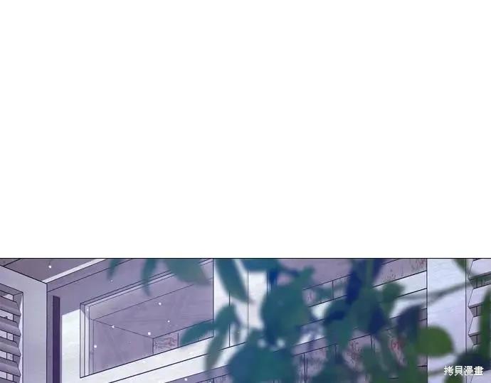 第224页