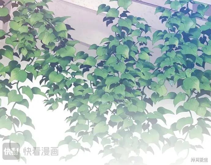 第227页
