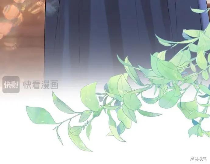 第254页