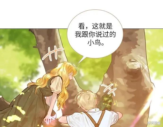 第207页