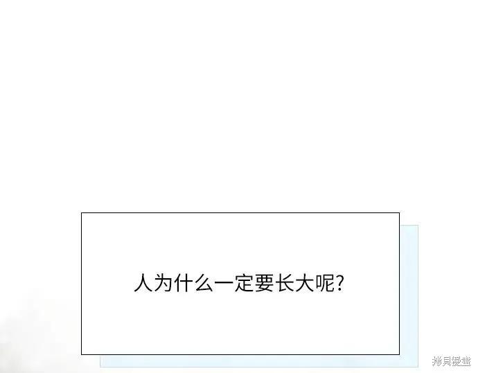 第223页