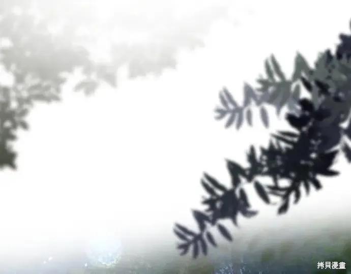 第224页