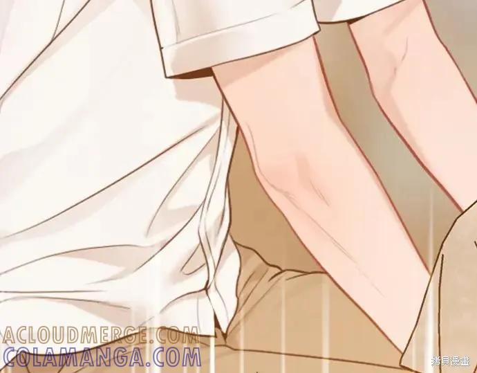 第241页