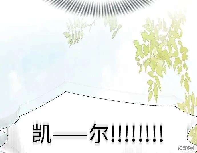 第196页