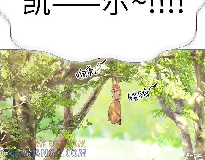 第205页