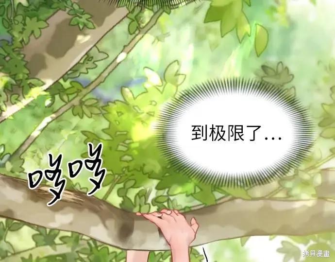 第250页