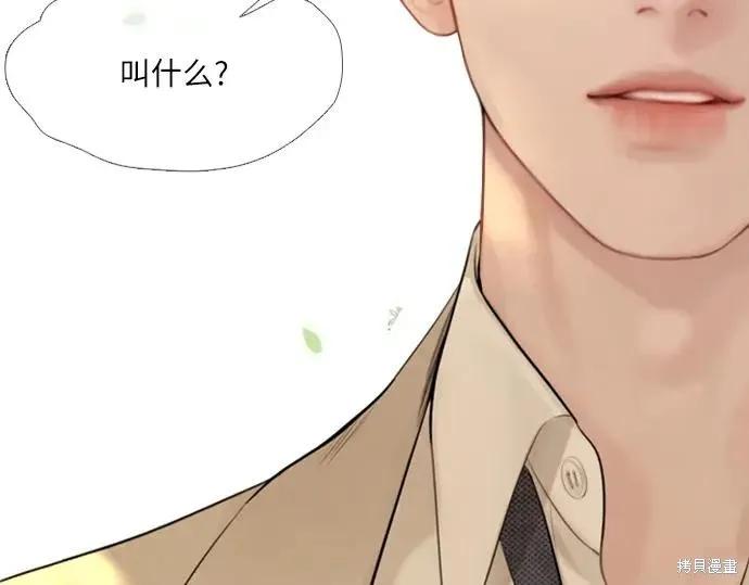 第259页