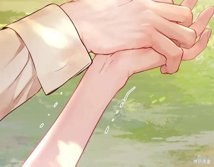 第207页