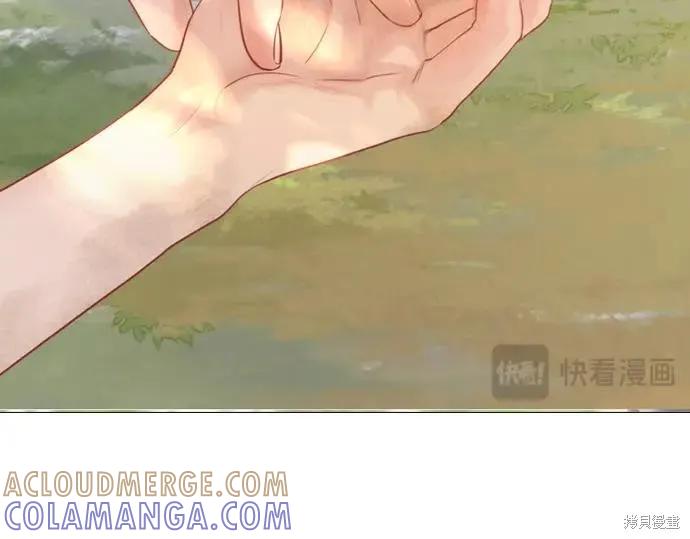 第237页