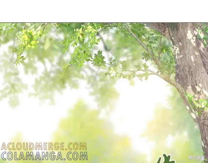第241页