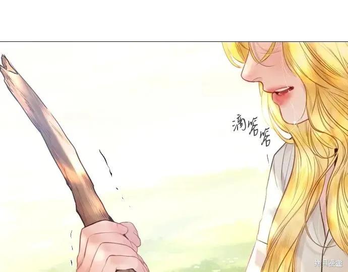 第255页