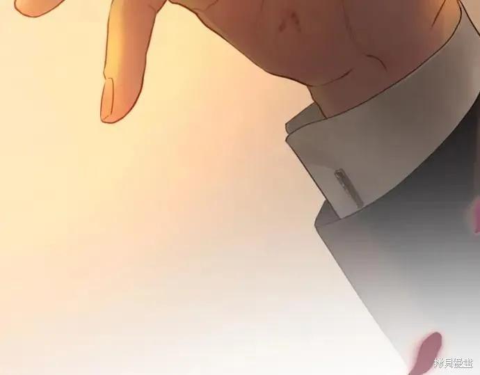 第351页