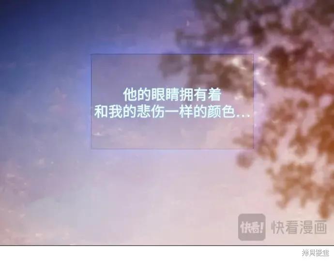 第251页