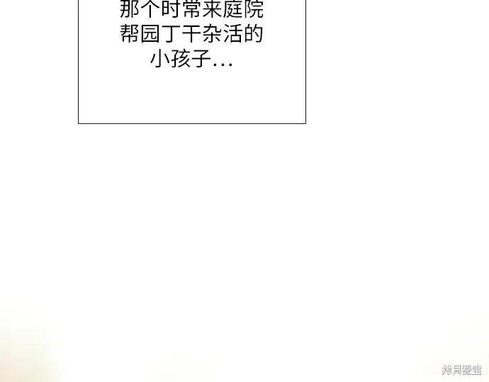 第223页