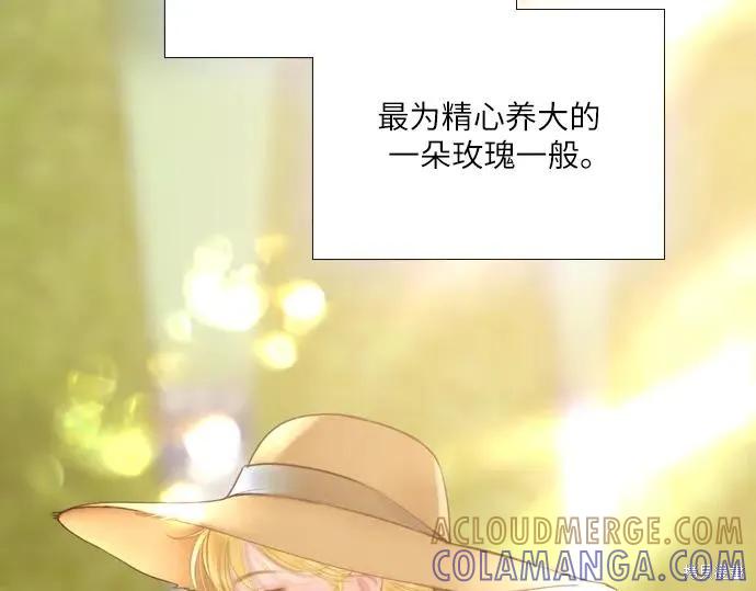 第229页