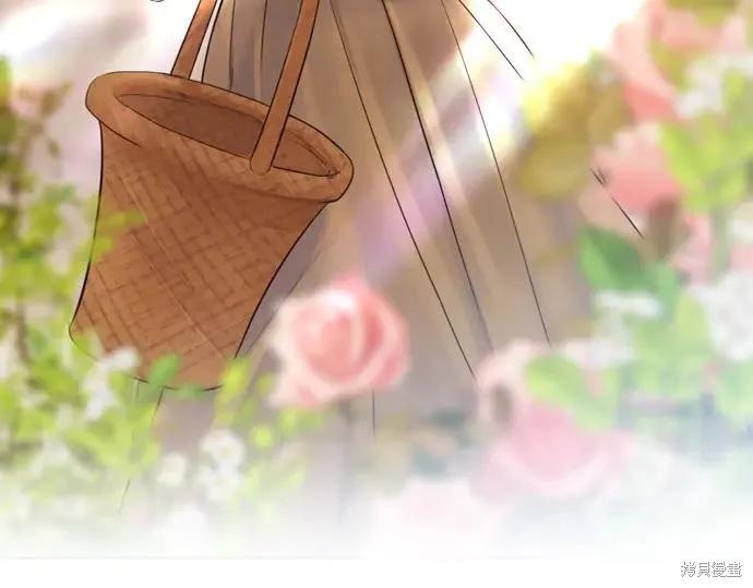 第231页