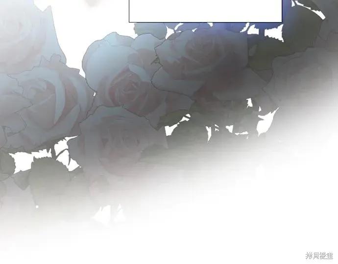 第239页
