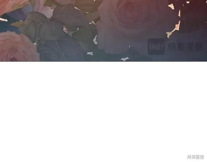 第248页