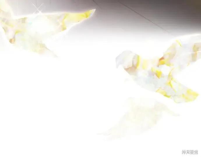 第206页