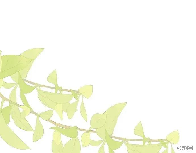 第224页