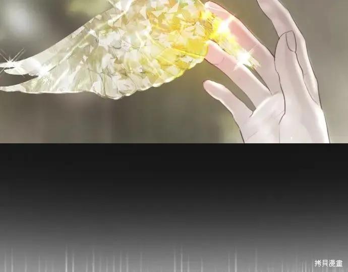 第254页