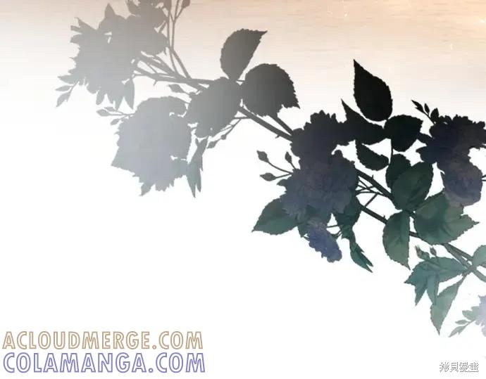 第221页
