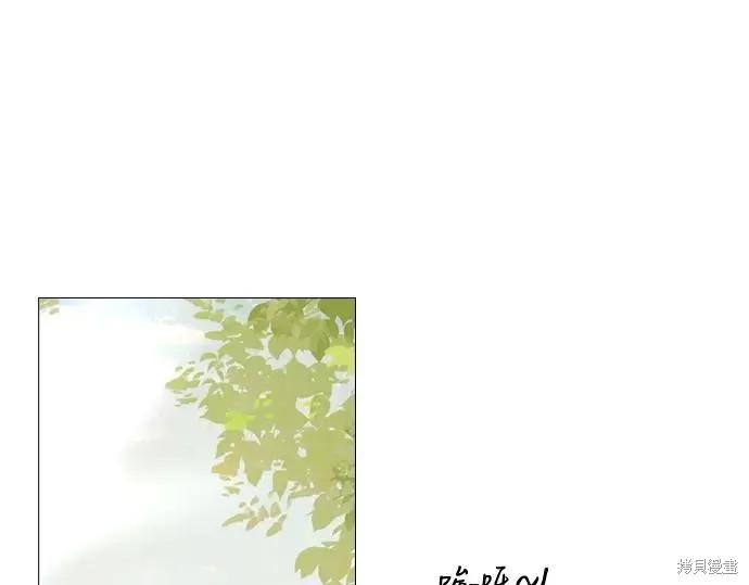 第223页
