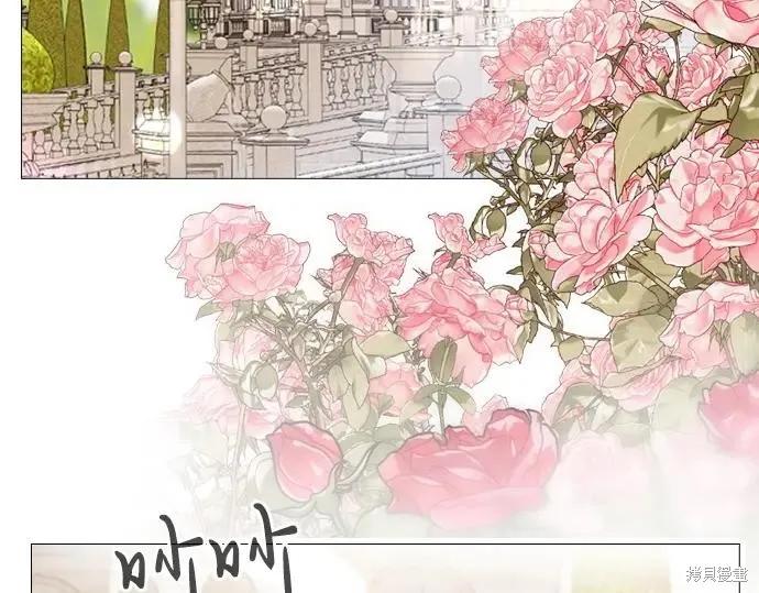 第202页