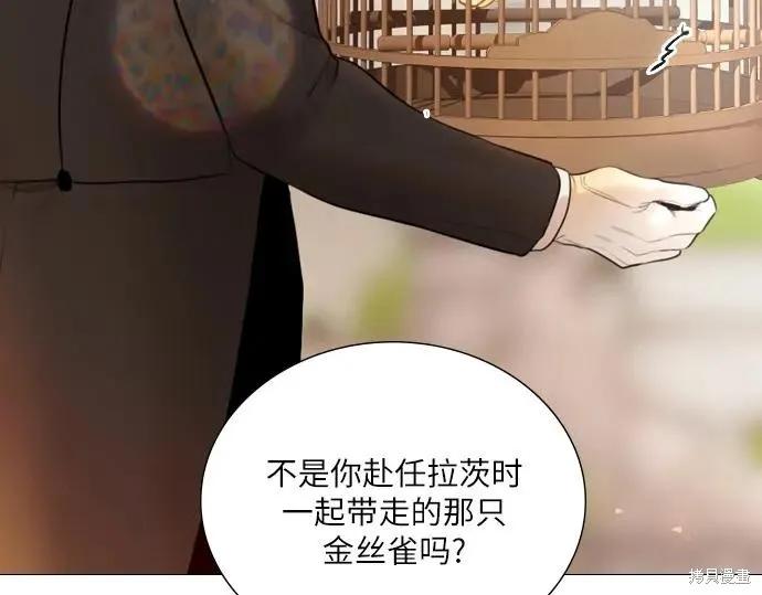 第234页