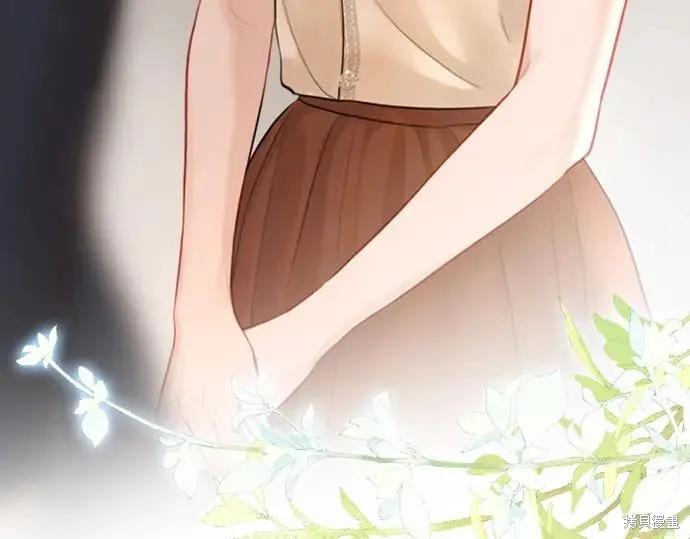 第247页
