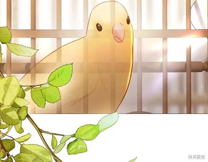 第259页