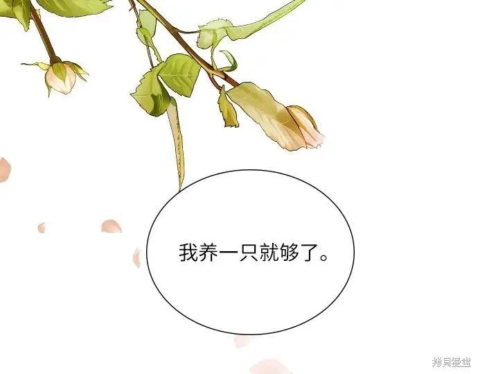 第260页
