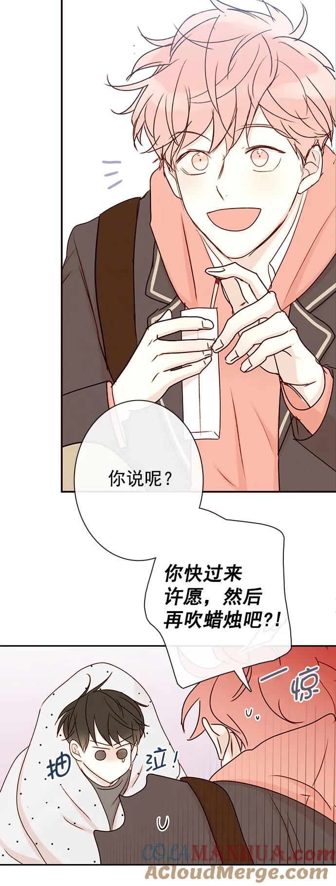 第242页
