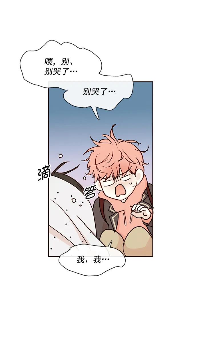 第251页