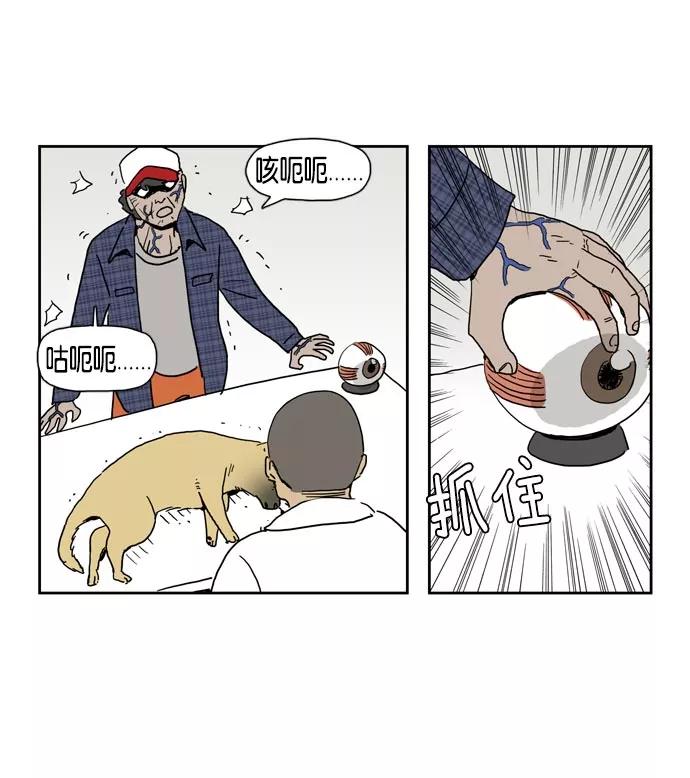 第50页