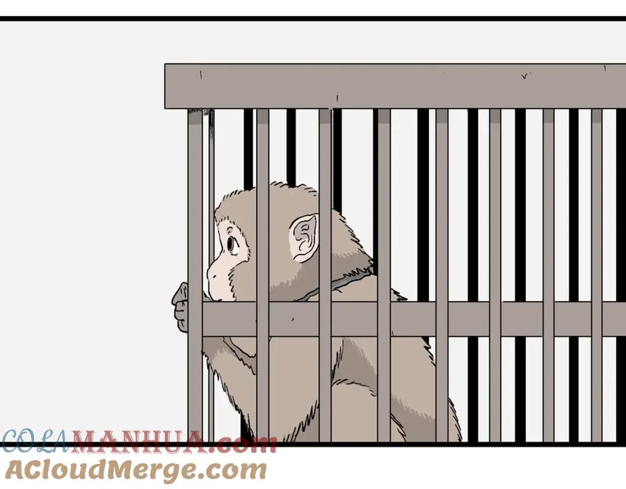 第185页