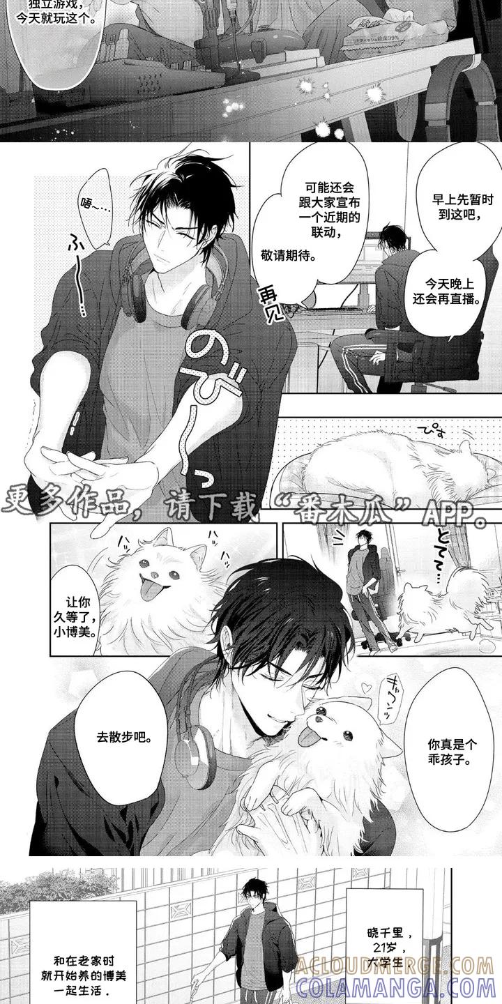 第3页