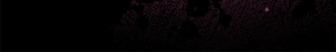 第223页